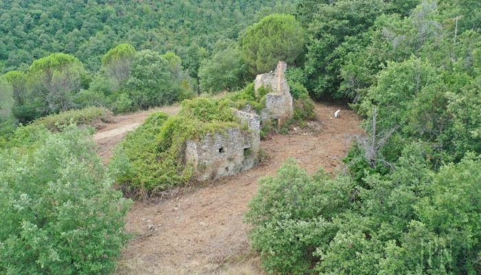Casale in pietra da ristrutturare con terreno di 2,8 ha a Pian di Marte