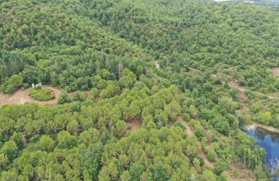 Landelijk pand te koop 06060 Pian di Marte, Umbria, Foto 14/14