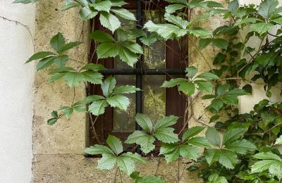 Kasteel te koop 84375 Kirchdorf am Inn, Hofmarkstraße 2, Bayern, eines von 4 Tuffsteinfenstern im EG