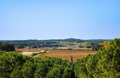 Burcht te koop Pouzilhac, Occitanie, Foto 43/43