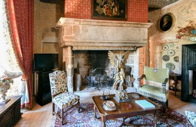 Burcht te koop Pouzilhac, Occitanie, Foto 21/43