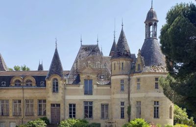 Château à vendre Mirande, Occitanie, Image 1/26