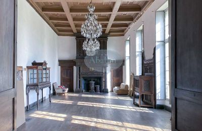 Château à vendre Mirande, Occitanie, Image 8/26