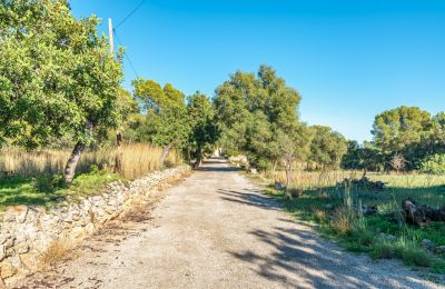 Manoir à vendre Palma, Îles Baléares, Image 20/24