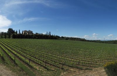 Maison de campagne à vendre Sarteano, Toscane, Image 50/50
