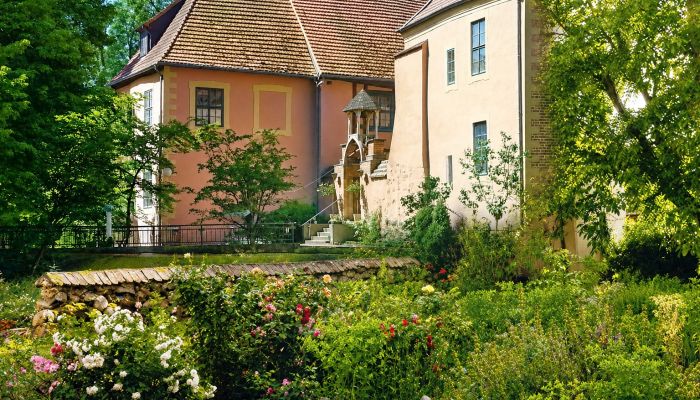 Château médiéval à vendre Mecklembourg-Poméranie-Occidentale
