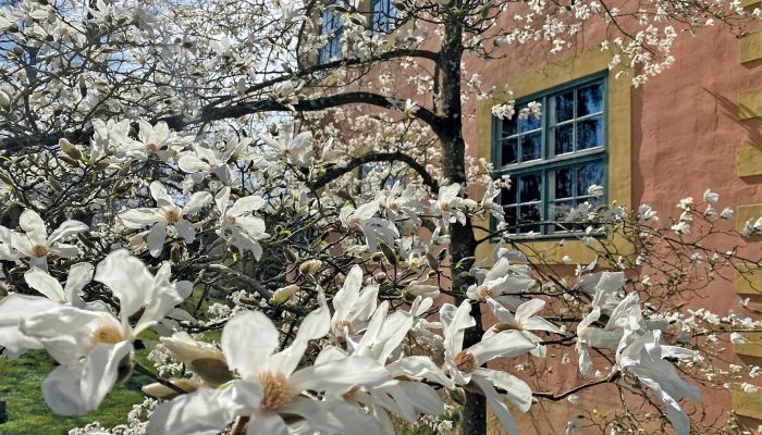 Burcht te koop Mecklenburg-Vorpommern