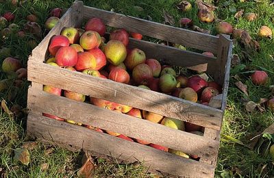 Burcht te koop Mecklenburg-Vorpommern, Foto 77/97