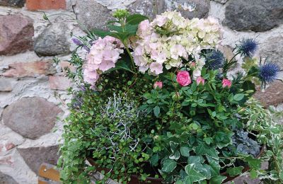 Burcht te koop Mecklenburg-Vorpommern, Foto 52/97