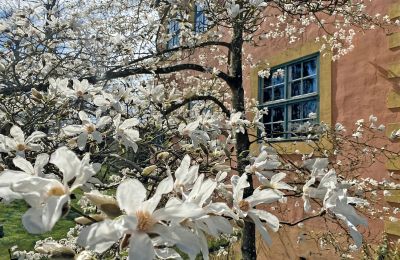Château médiéval Mecklembourg-Poméranie-Occidentale