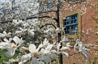 Burcht te koop Mecklenburg-Vorpommern, Foto 44/97