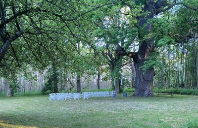 Burcht te koop Mecklenburg-Vorpommern, Foto 67/97
