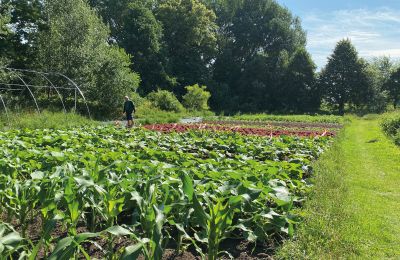 Burcht te koop Mecklenburg-Vorpommern, Foto 61/97