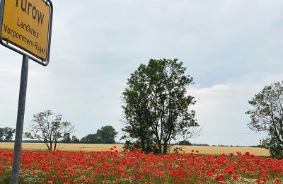 Burcht te koop Mecklenburg-Vorpommern, Foto 92/97