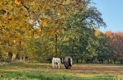 Burcht te koop Mecklenburg-Vorpommern, Foto 76/97