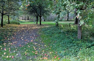 Burcht te koop Mecklenburg-Vorpommern, Foto 68/97