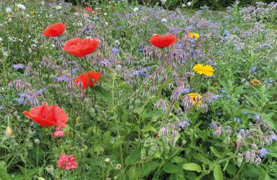 Burcht te koop Mecklenburg-Vorpommern, Foto 64/97