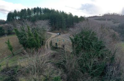 Maison de campagne à vendre 06026 Pietralunga, Ombrie, Image 4/25