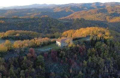 Landelijk pand te koop Italië, Foto 5/26