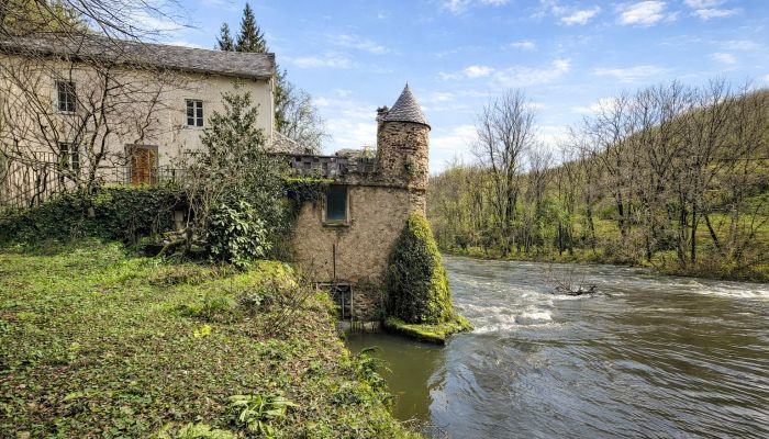 Molen aan de rivier met 40 meter waterval en 6.000 m² bosgrond