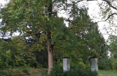 Château à vendre Kostrzyna, Kostrzyna 38, Basse-Silésie, Image 12/19