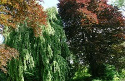 Château à vendre Kostrzyna, Kostrzyna 38, Basse-Silésie, Image 16/19