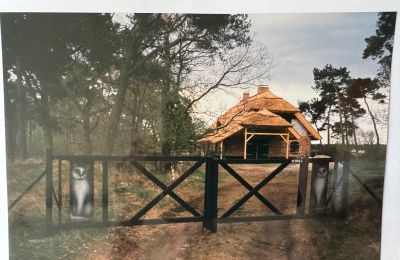 Maison de campagne à vendre 17375 Leopoldshagen, Mecklembourg-Poméranie-Occidentale, Image 40/50