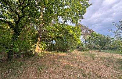 Maison de campagne à vendre 17375 Leopoldshagen, Mecklembourg-Poméranie-Occidentale, Gartenblick