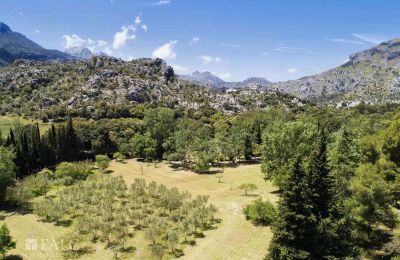Manoir à vendre Escorca, Îles Baléares, finca-escorca-40