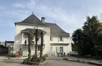 Manoir à vendre Sauveterre-de-Béarn, Nouvelle-Aquitaine, Vue latérale