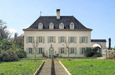 Manoir à vendre Sauveterre-de-Béarn, Nouvelle-Aquitaine, Vue frontale