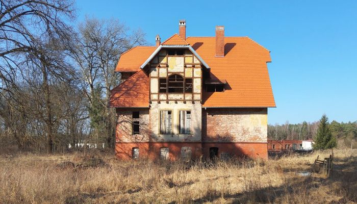Demeure historique à vendre Słubice, Lubusz