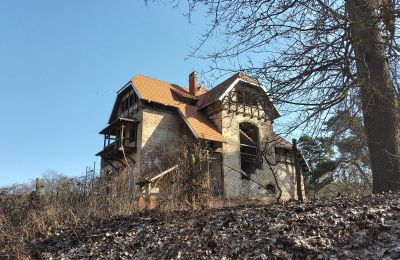 Demeure historique à vendre Słubice, Lubusz, Image 3/15