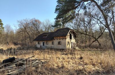 Demeure historique à vendre Słubice, Lubusz, Image 4/15
