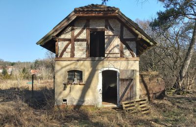 Demeure historique à vendre Słubice, Lubusz, Image 5/15