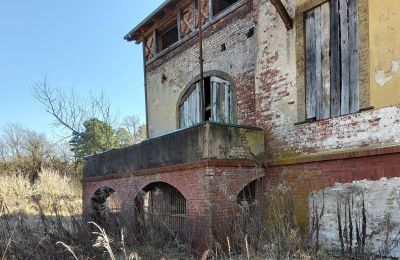 Demeure historique à vendre Słubice, Lubusz, Image 9/15