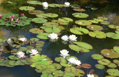 Maison de campagne à vendre Allemagne, Image 12/32