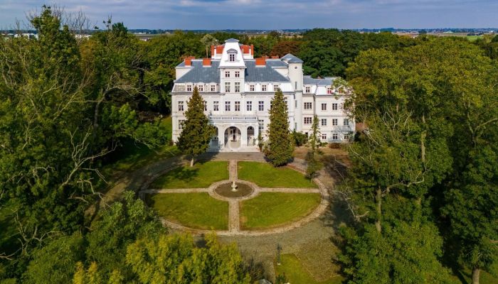 Château à vendre Malina, Łódź