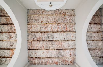 Kasteel te koop Malina , Łódź , Foto 7/32