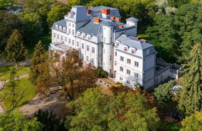 Château à vendre Malina, Pałac Malina, Łódź, Image 3/28