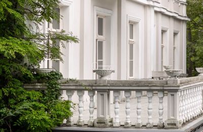 Château à vendre Malina, Pałac Malina, Łódź, Image 8/28