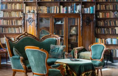 Château à vendre Malina, Pałac Malina, Łódź, Image 16/28