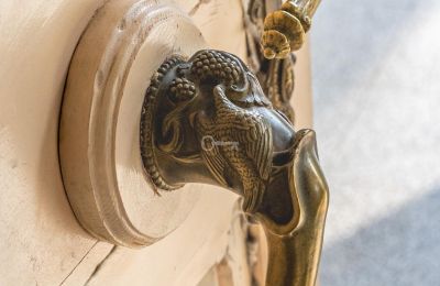 Château à vendre Malina, Pałac Malina, Łódź, Image 7/28