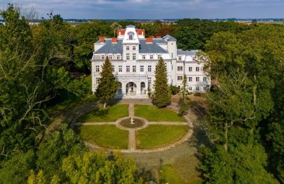 Château à vendre Malina, Pałac Malina, Łódź, Image 1/28
