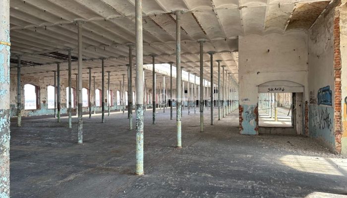  Piotrków Trybunalski 5