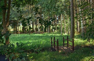 Manoir à vendre Stary Dzierzgoń, Poméranie, Image 34/39