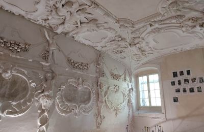 Château à vendre Gorzanów, Podzamcze 8, Basse-Silésie, Image 7/27