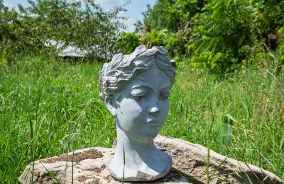 Landhuis te koop Bosowice, Bosowice 80, Heilig Kruis, Foto 4/25