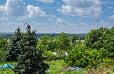 Landhuis te koop Bosowice, Bosowice 80, Heilig Kruis, Foto 7/25