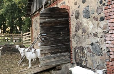 Manoir à vendre Vandzene, Kurzeme, Image 4/7